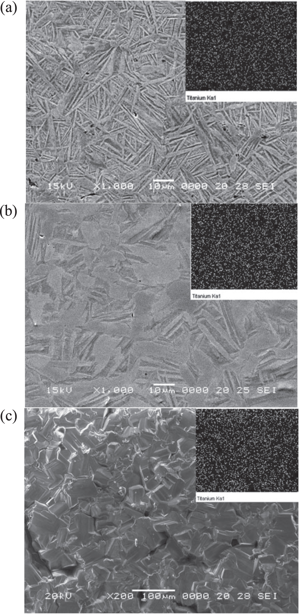 Titanium and titanium based alloy prepared by spark plasma sintering ...