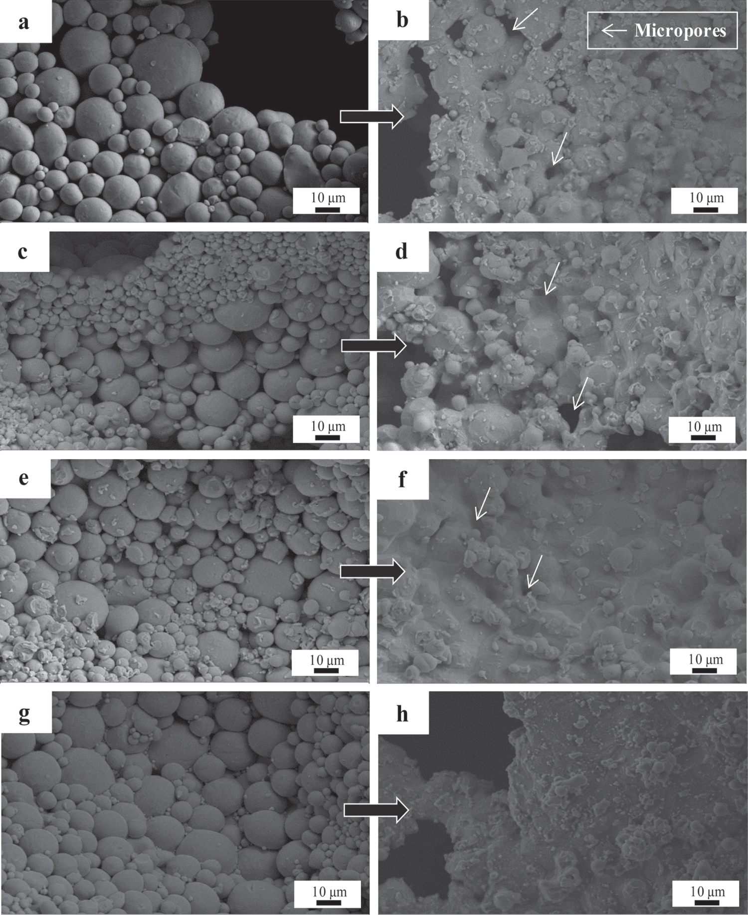 Titanium and titanium based alloy prepared by spark plasma sintering ...