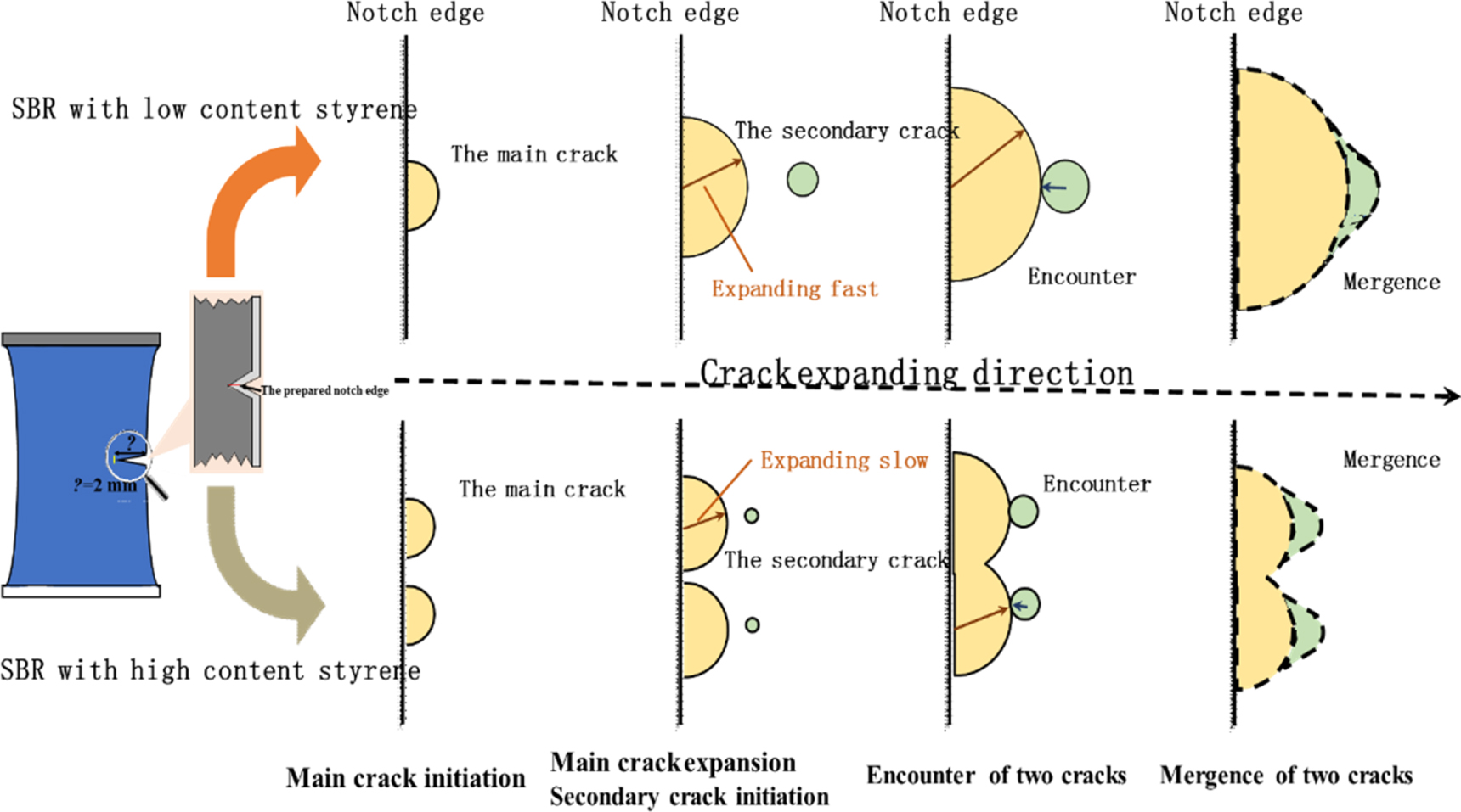 Effect of styrene content on mechanical and rheological behavior of ...