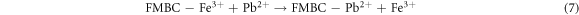 Equation (7)