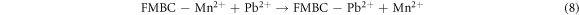 Equation (8)