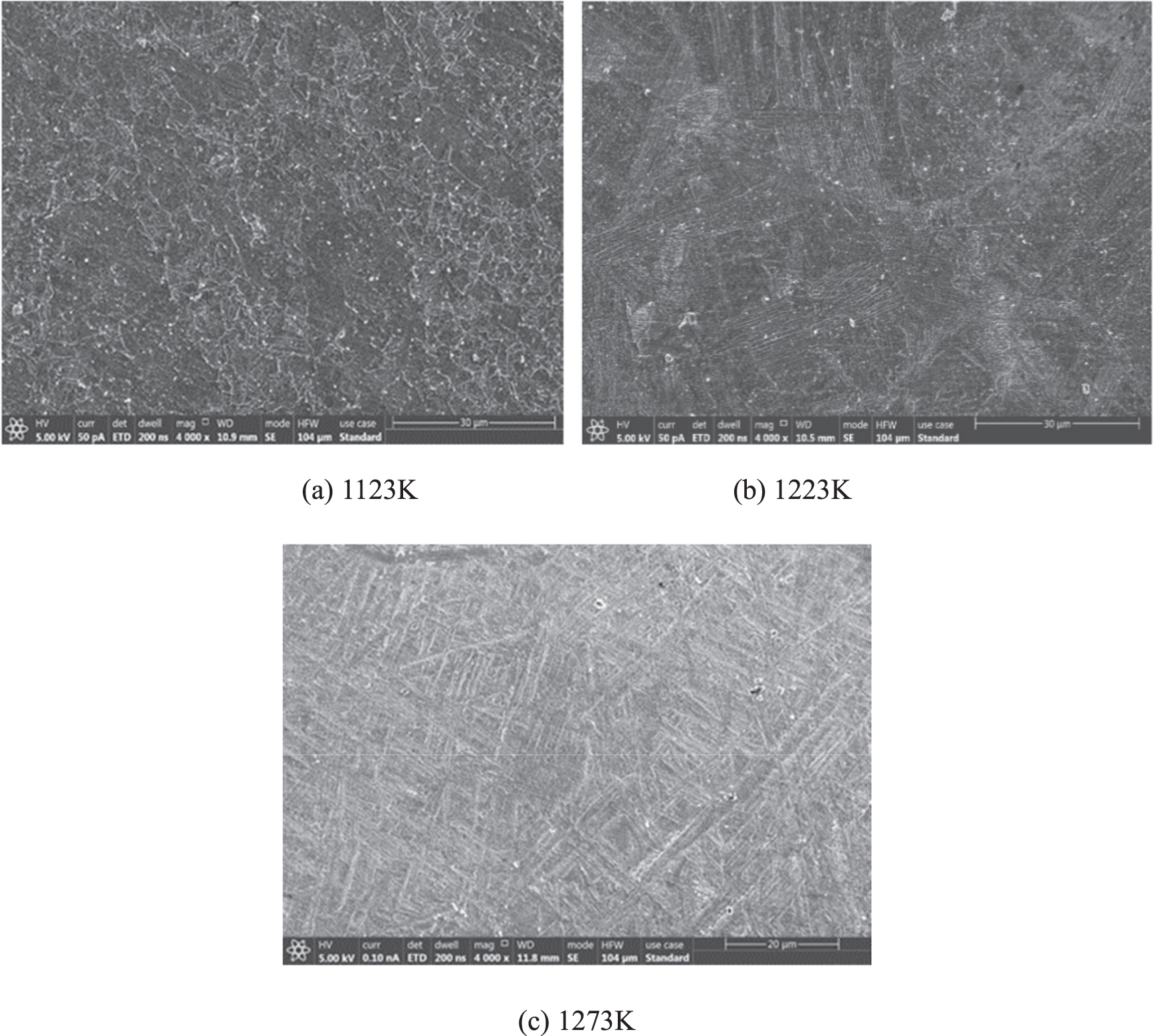Constitutive models and microstructure evolution of Ti-6Al-4V alloy ...