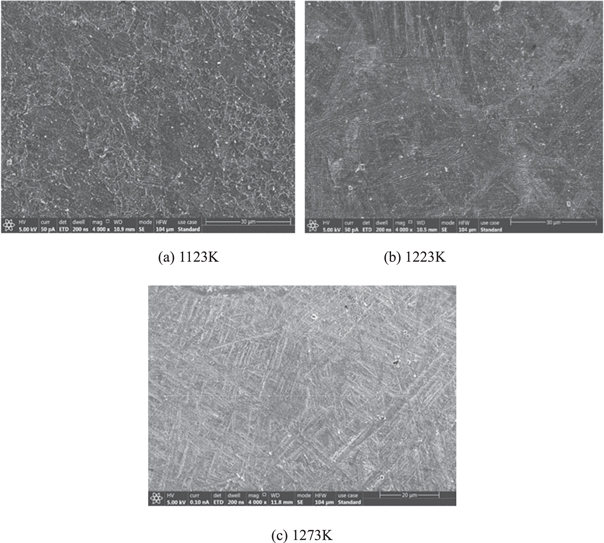 Constitutive models and microstructure evolution of Ti-6Al-4V alloy ...
