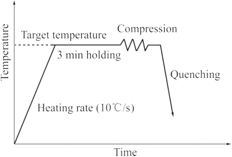 Constitutive models and microstructure evolution of Ti-6Al-4V alloy ...