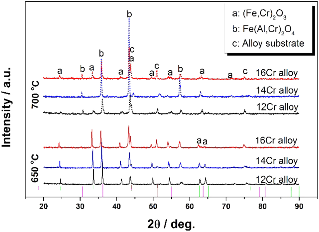 Coupling effect of temperature and Cr content on the steam oxidation of ...