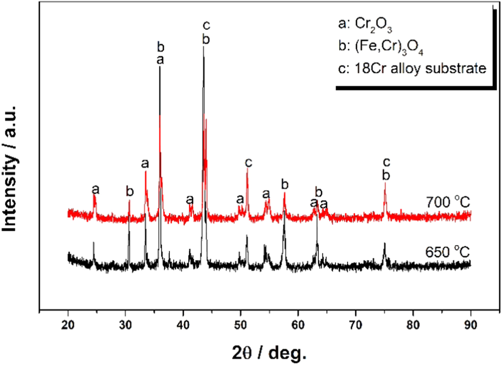 Coupling effect of temperature and Cr content on the steam oxidation of ...