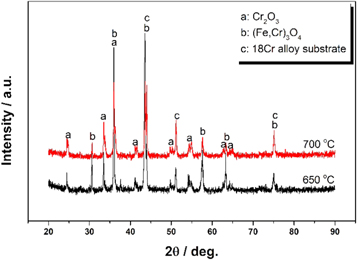 Coupling effect of temperature and Cr content on the steam oxidation of ...