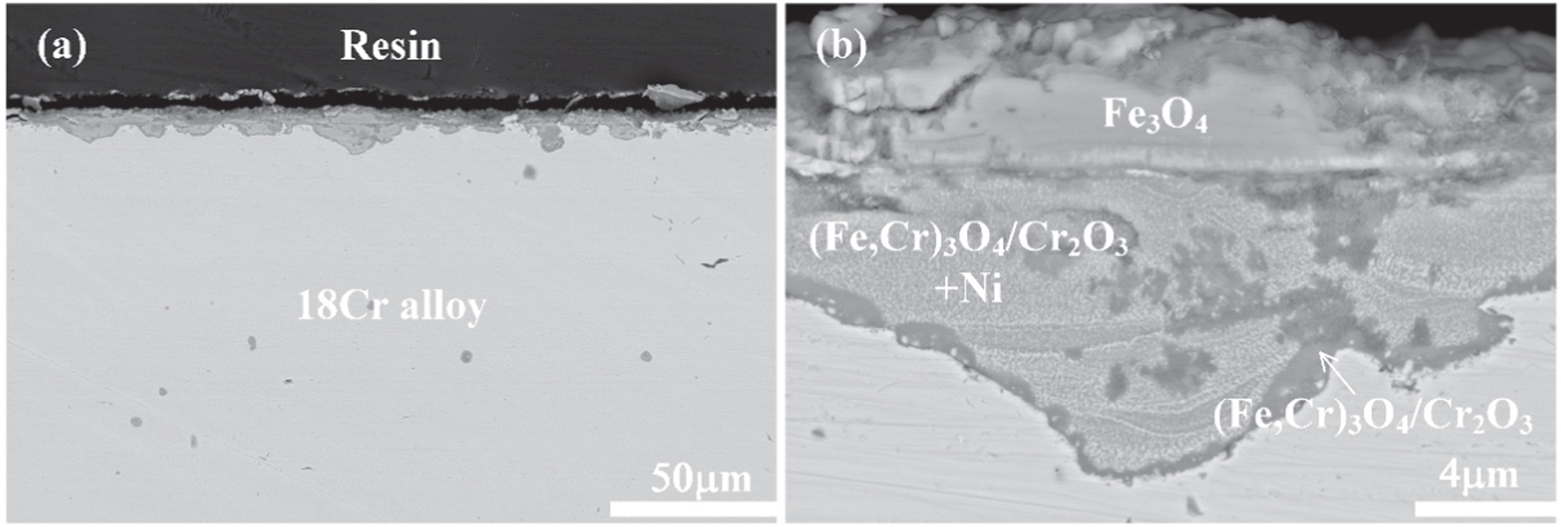 Coupling effect of temperature and Cr content on the steam oxidation of ...