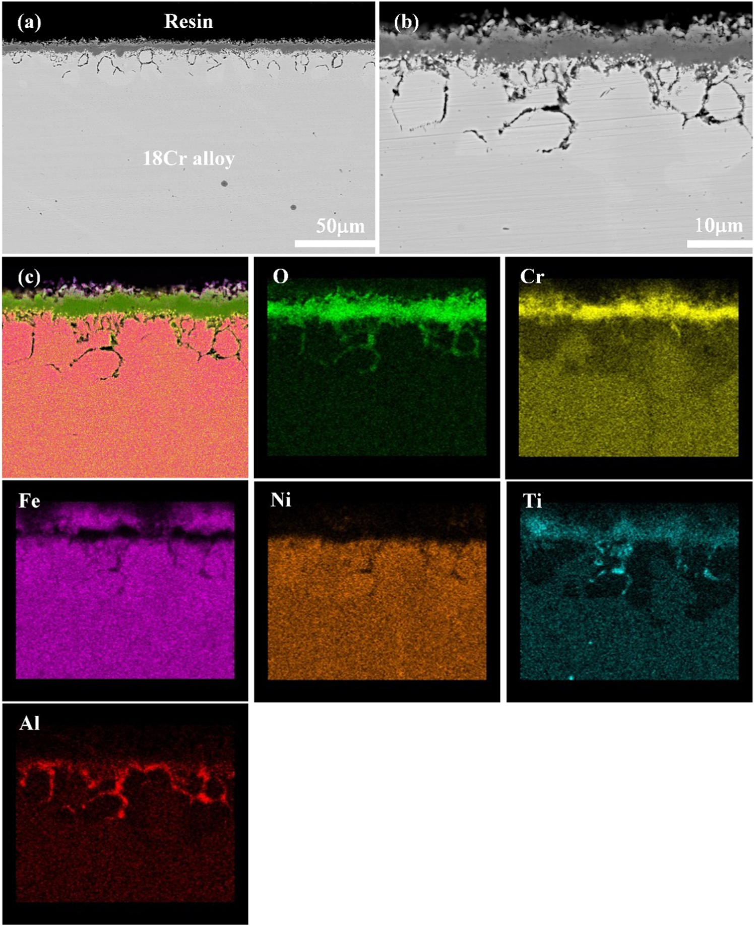 Coupling effect of temperature and Cr content on the steam oxidation of ...
