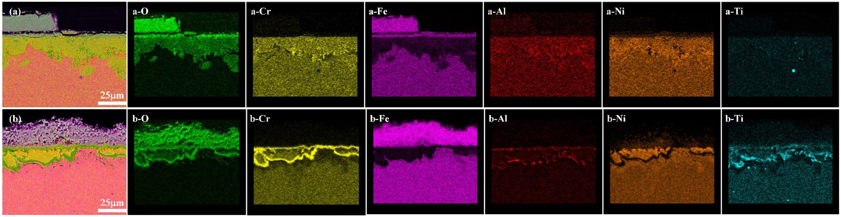 Coupling effect of temperature and Cr content on the steam oxidation of ...