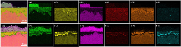 Coupling effect of temperature and Cr content on the steam oxidation of ...