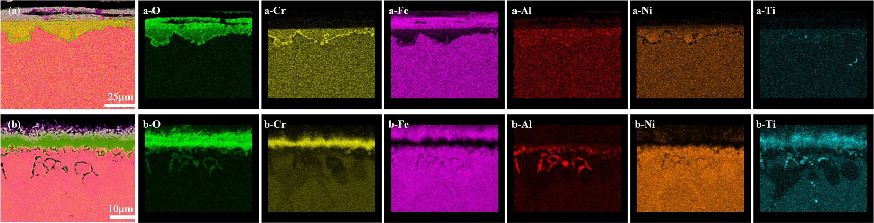 Coupling effect of temperature and Cr content on the steam oxidation of ...