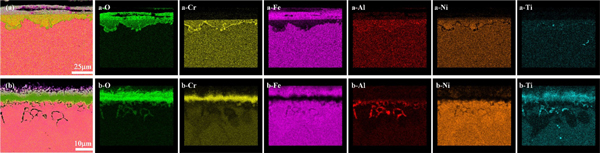 Coupling effect of temperature and Cr content on the steam oxidation of ...