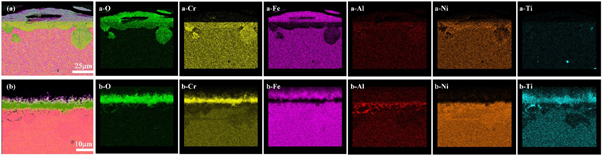 Coupling effect of temperature and Cr content on the steam oxidation of ...