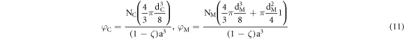 Equation (11)