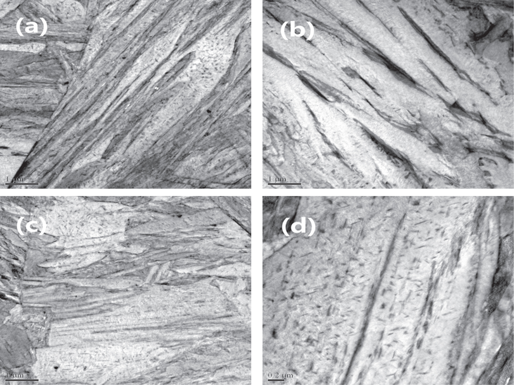 The size effect of martensite laths and precipitates on high strength ...