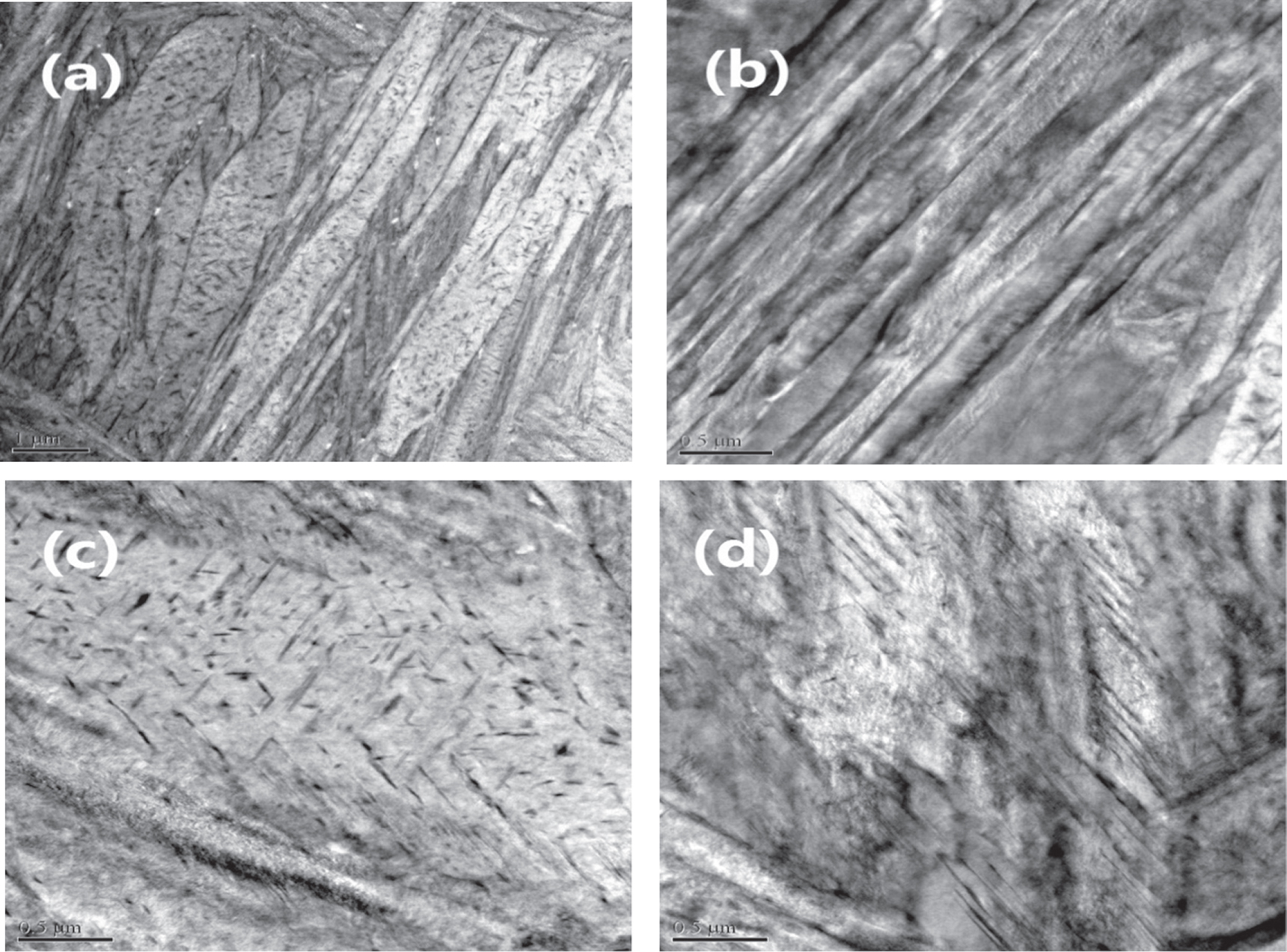 The size effect of martensite laths and precipitates on high strength ...