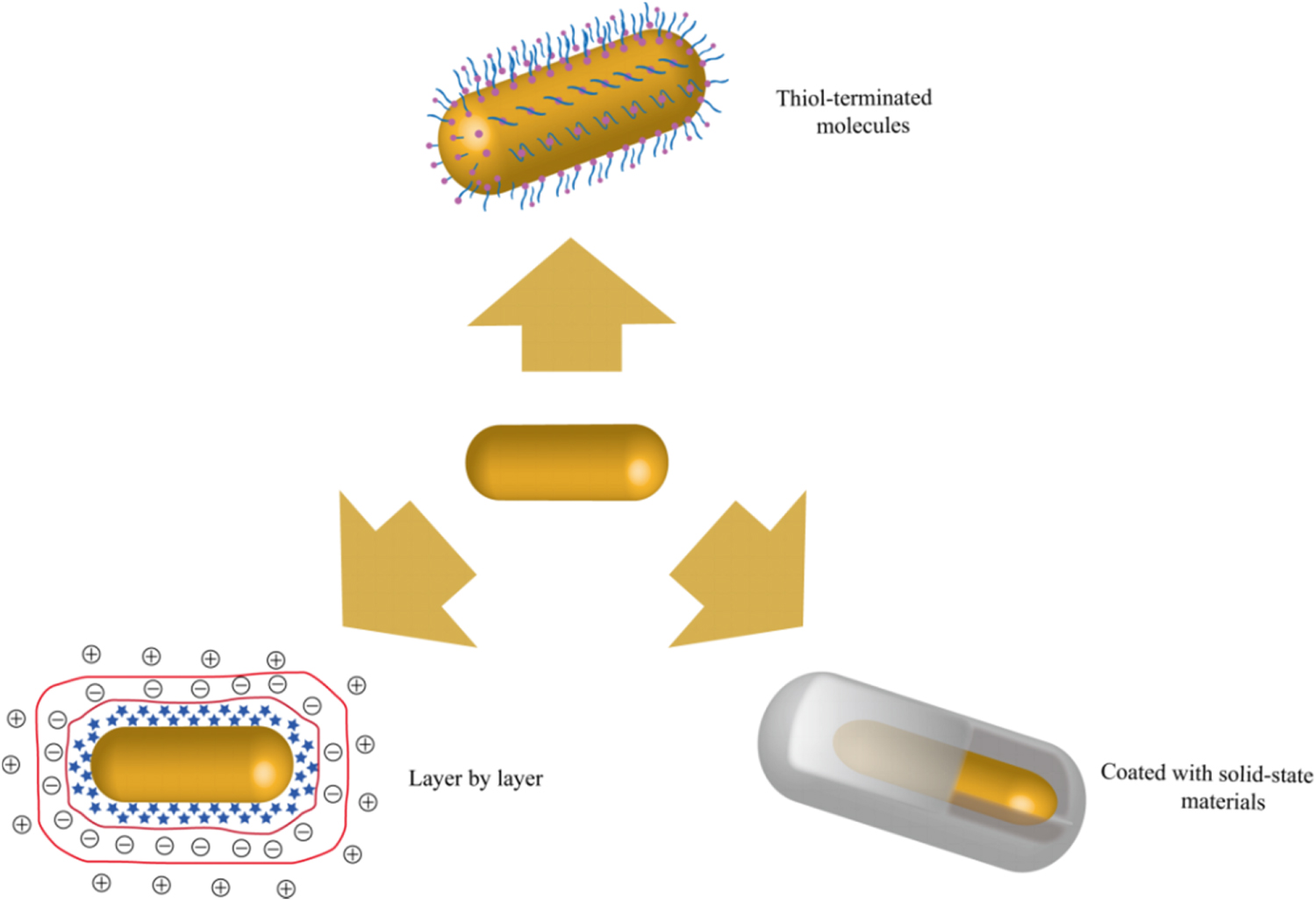 Recent advances on application of gold nanorods in detection field ...
