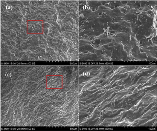 Figure 7. Refer to the following caption and surrounding text.