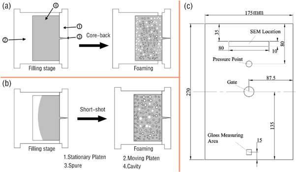The effect of injection process for microcellular foaming on the cell ...