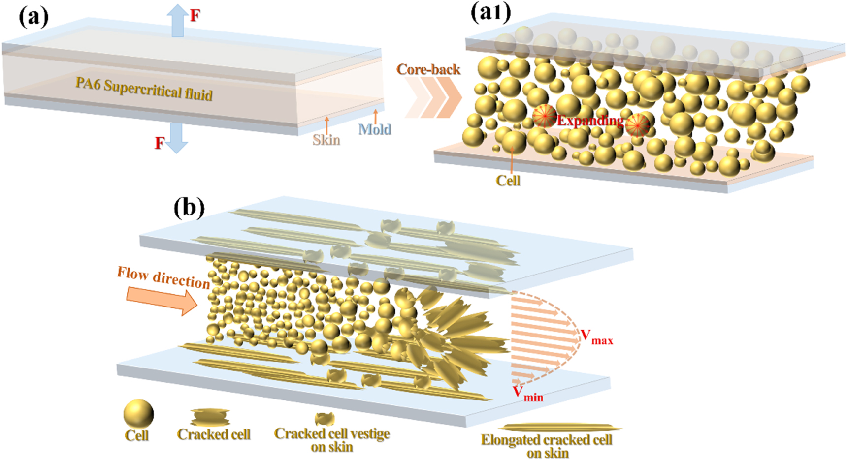 The effect of injection process for microcellular foaming on the cell ...
