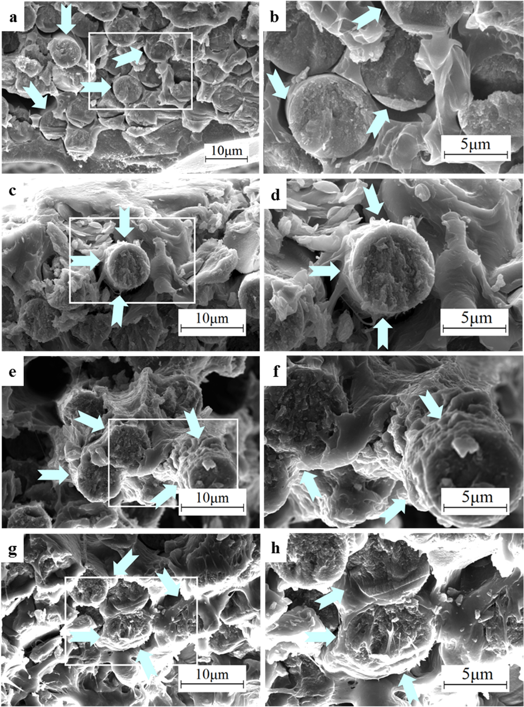 Effect of carbon nanotubes on the electrical, thermal, mechanical ...