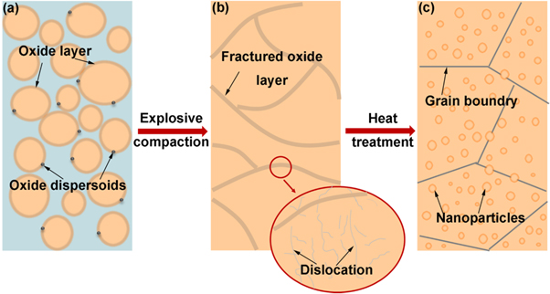 Effect of explosive compaction on microstructure of ODS FeCrAl alloy ...