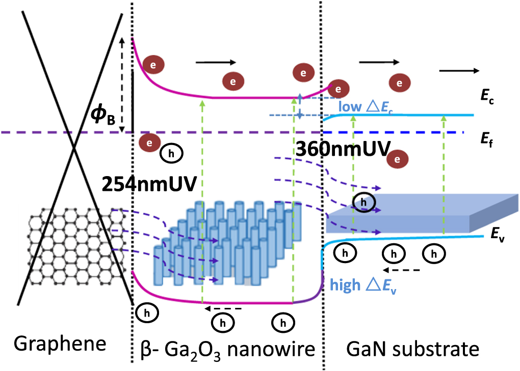 Ultraviolet photodetector based on vertical β-Ga2O3 nanowire array on ...