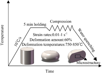 Constitutive model and microstructural evolution of hot deformation of ...