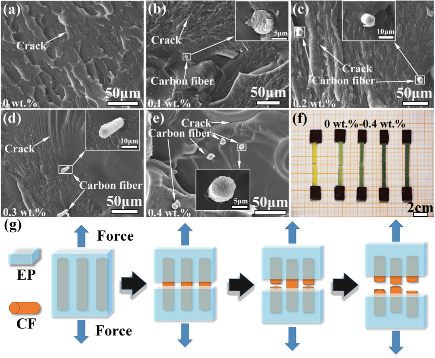 Study on preparation and mechanical properties of bionic carbon fiber ...