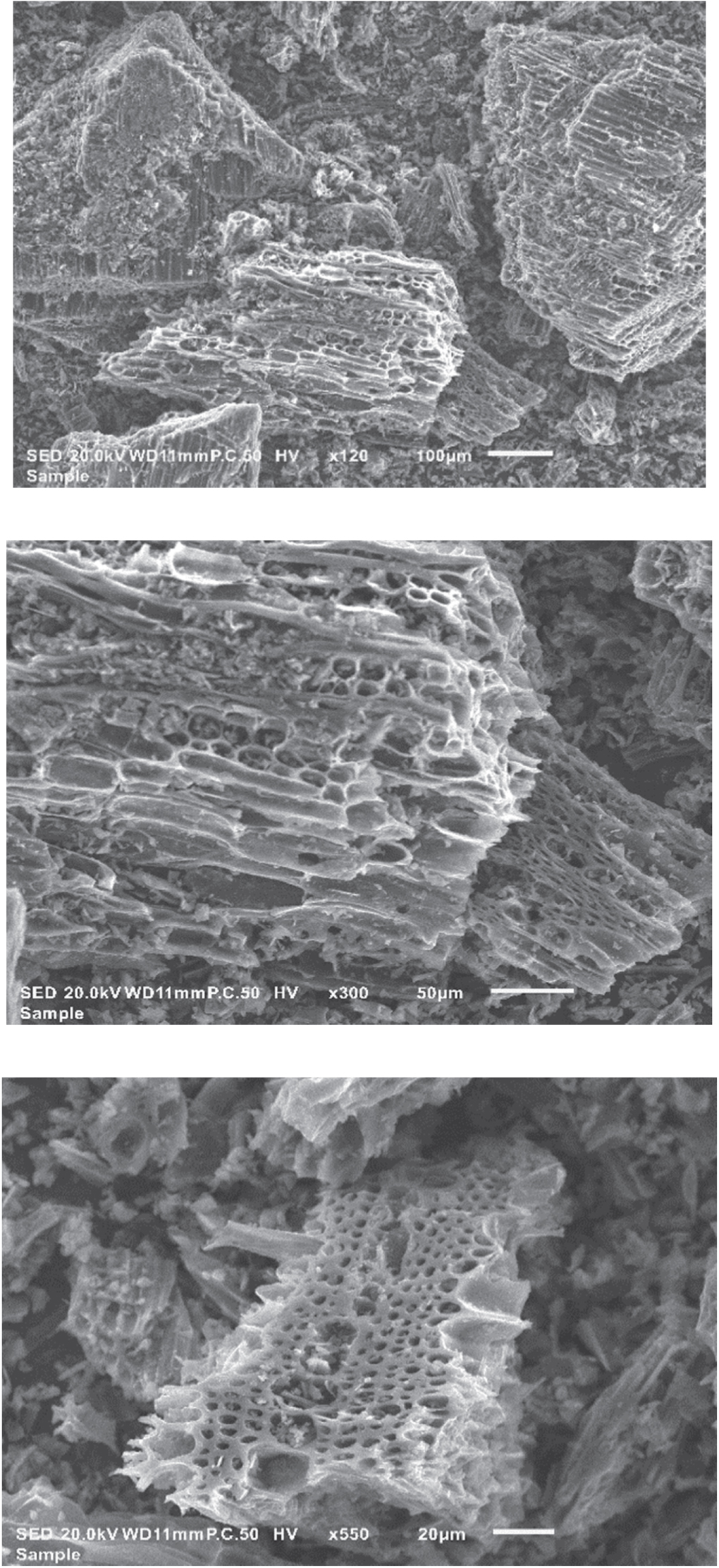 Experimental study of CO2 adsorption using activated carbon - IOPscience