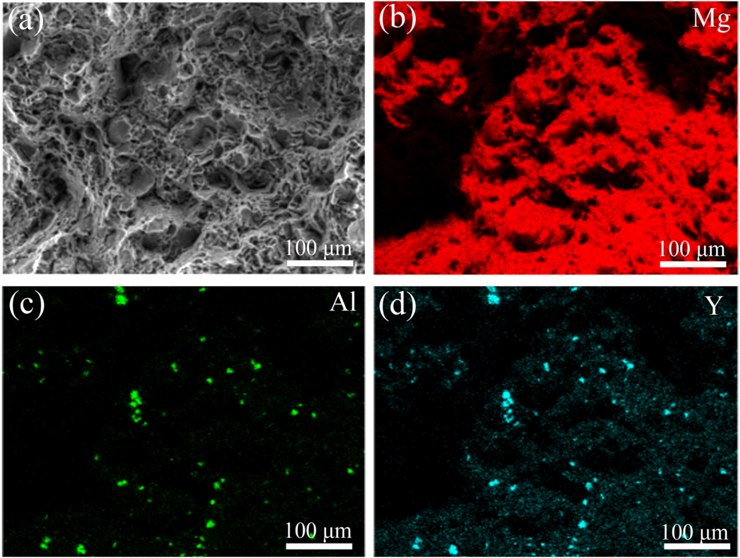 Effects of Y content on microstructure, mechanical and damping ...