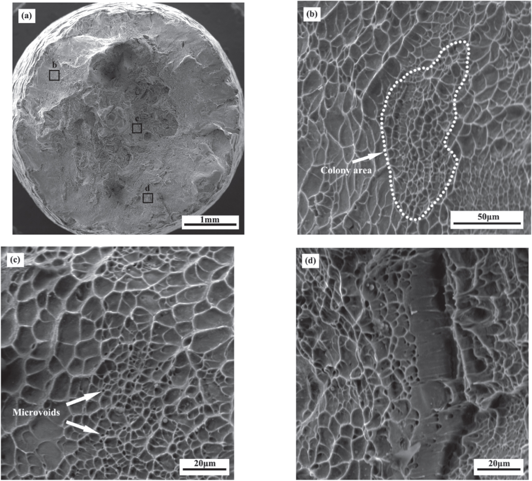 Effect of cyclic heat treatment on microstructure and mechanical ...