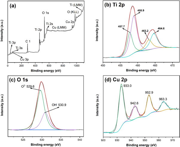 Effects of Cu doping on the phase transition and photocatalytic ...