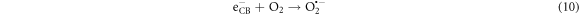 Equation (10)