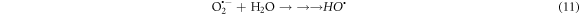 Equation (11)