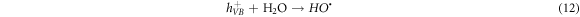 Equation (12)