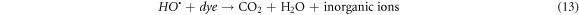 Equation (13)