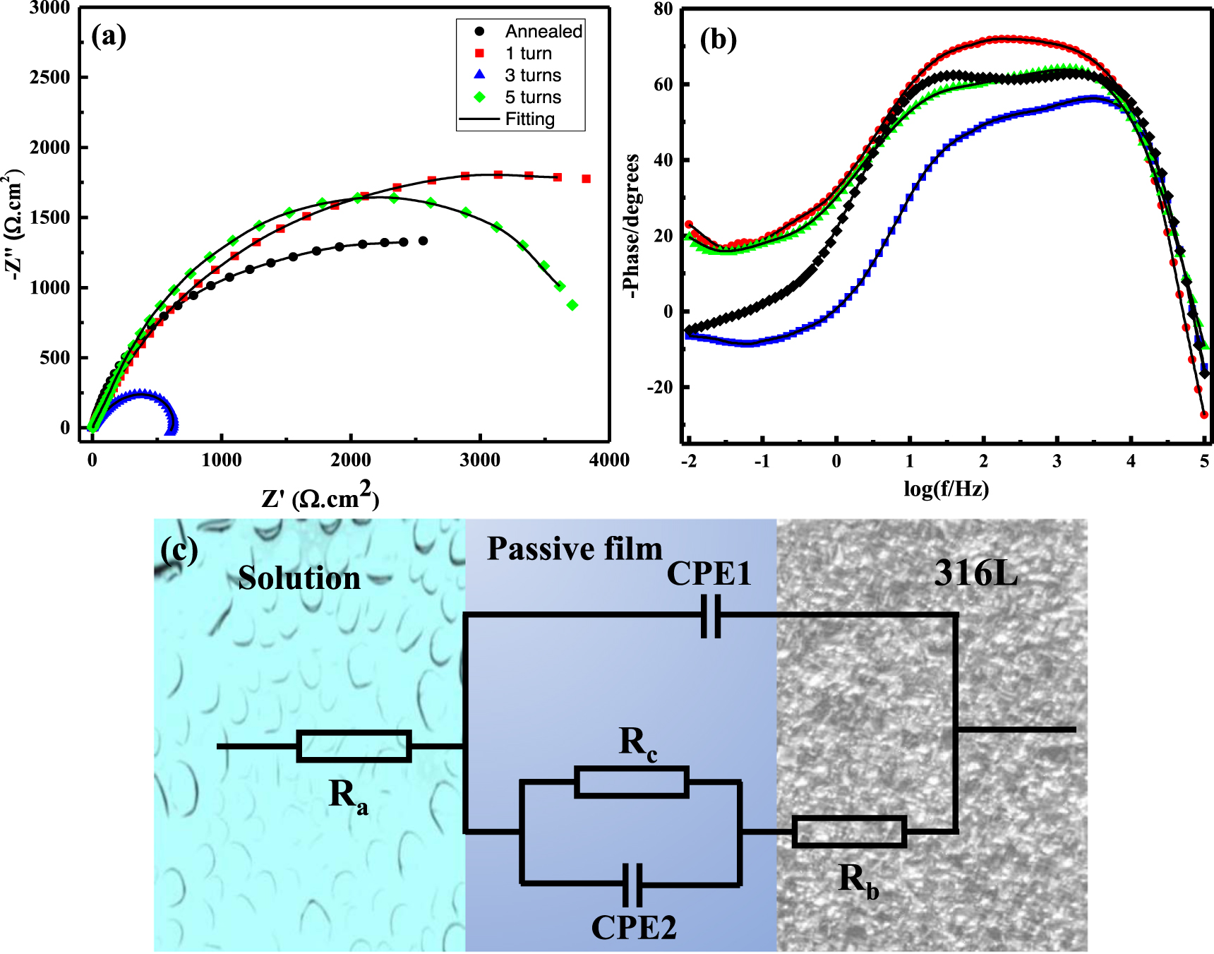 Microstructure evolution and corrosion behavior of 316L stainless steel ...