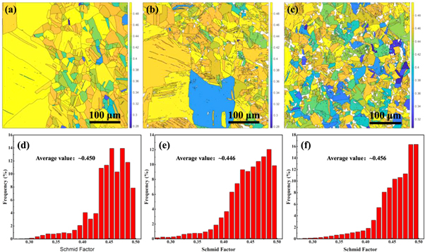 Microstructure evolution and corrosion behavior of 316L stainless steel ...