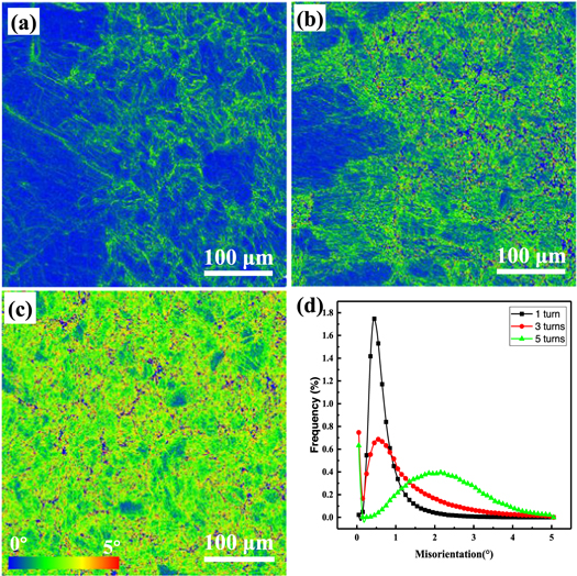 Microstructure evolution and corrosion behavior of 316L stainless steel ...
