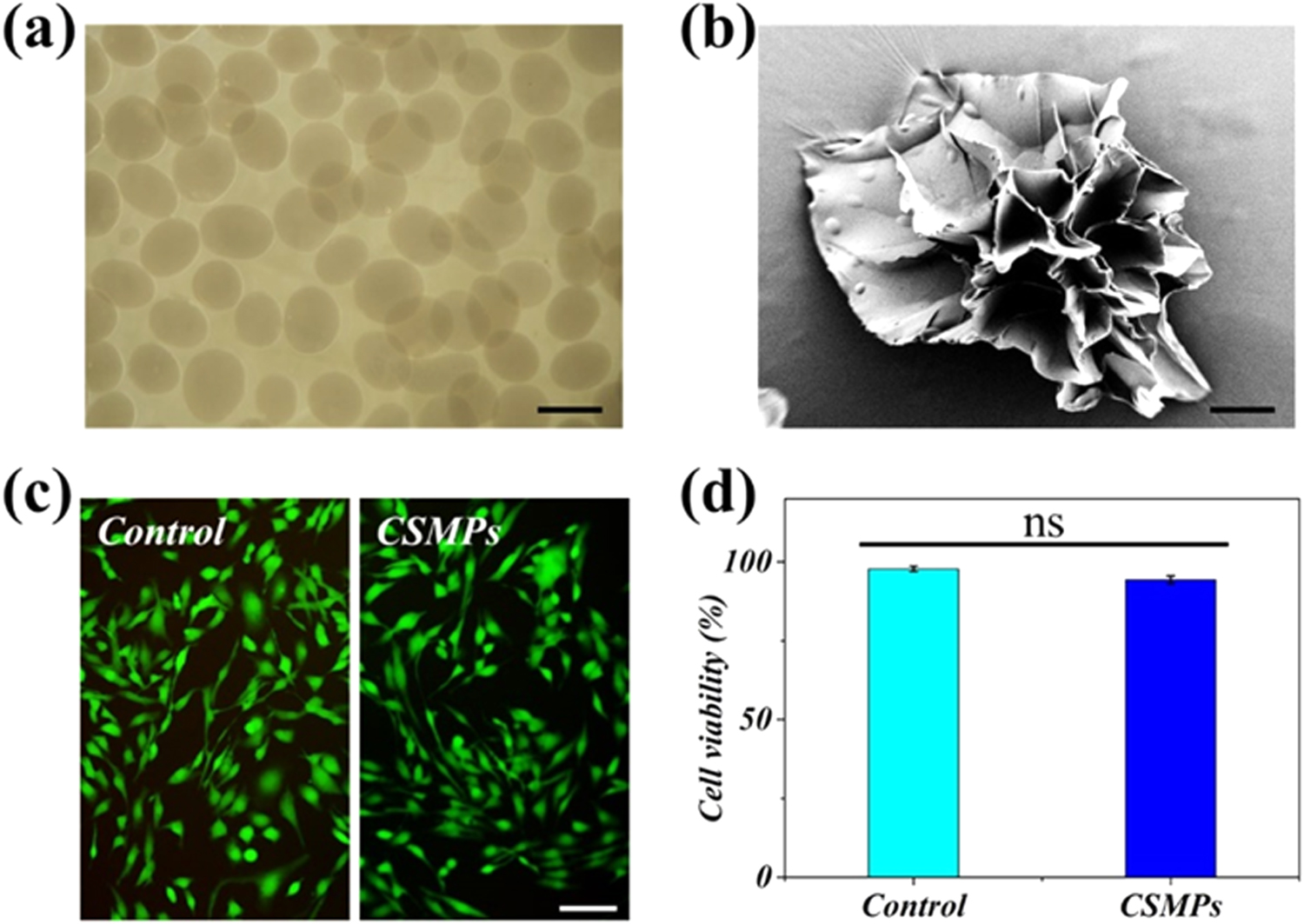 Antibacterial hydrogel microparticles with drug loading for wound ...