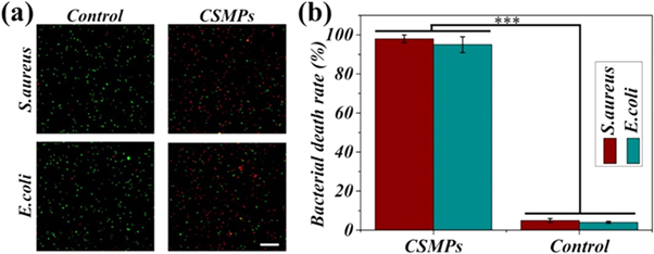 Antibacterial hydrogel microparticles with drug loading for wound ...