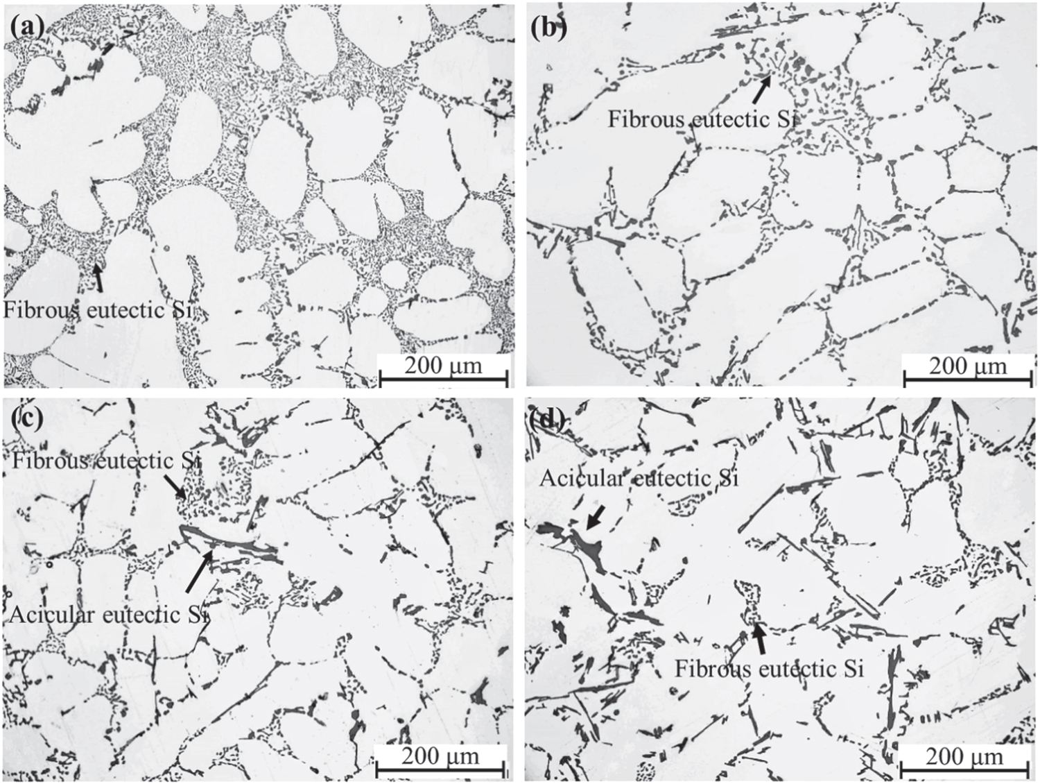 Grain refinement and eutectic modification of A356 casting alloy by ...