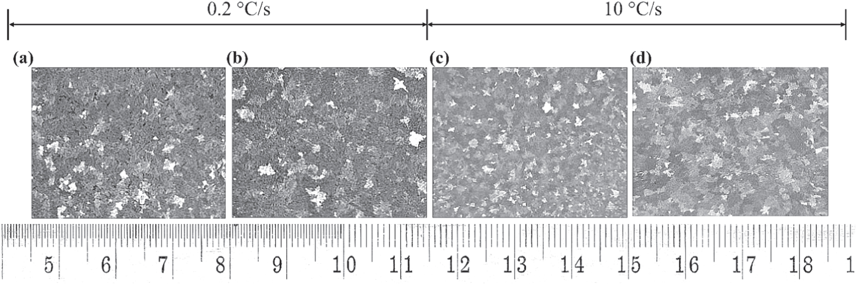 Grain refinement and eutectic modification of A356 casting alloy by ...
