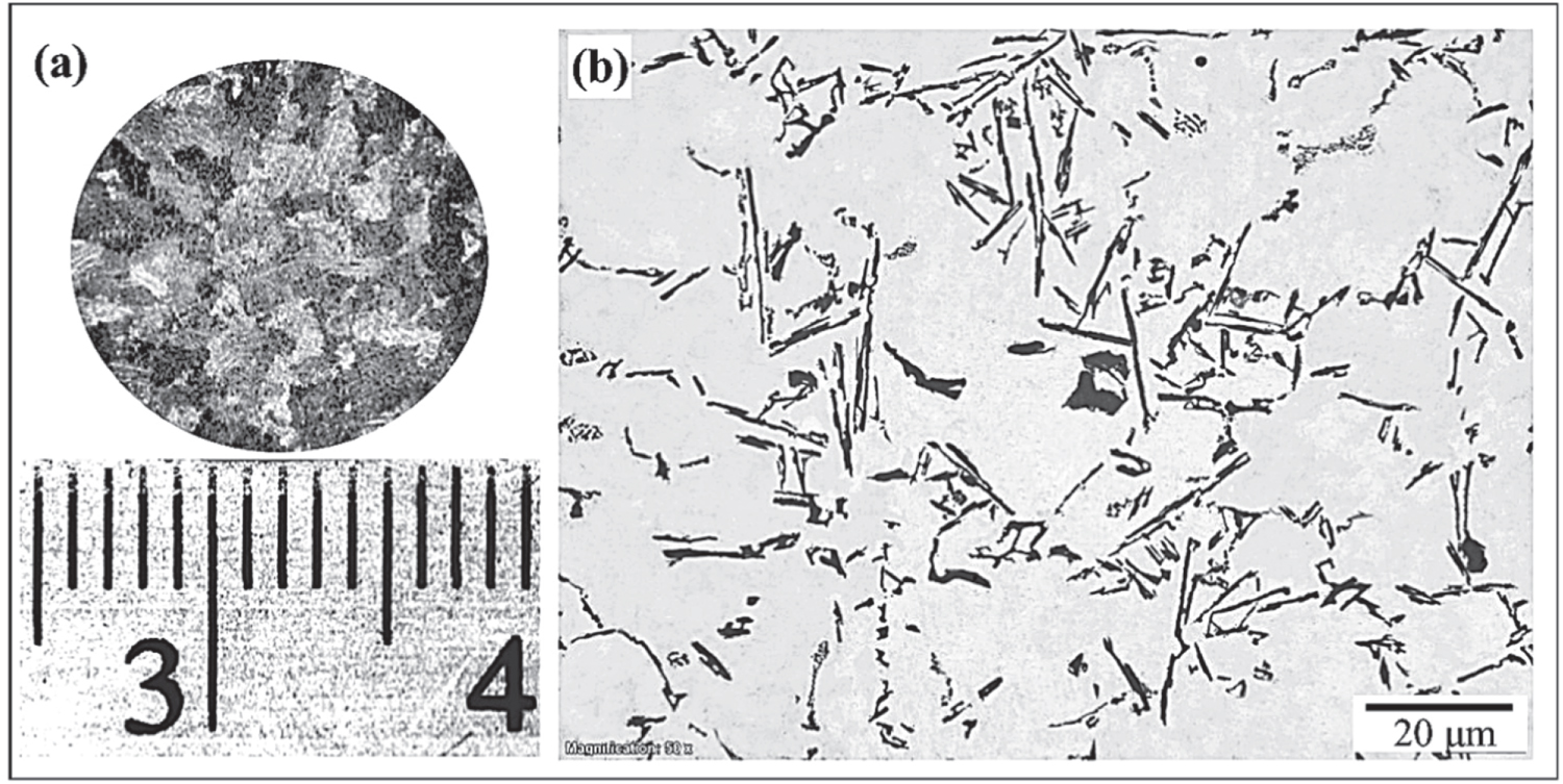 Grain refinement and eutectic modification of A356 casting alloy by ...