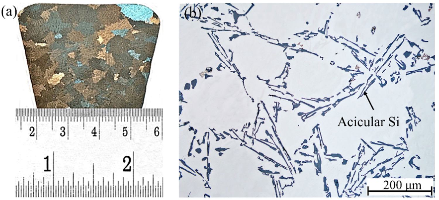 Grain refinement and eutectic modification of A356 casting alloy by ...