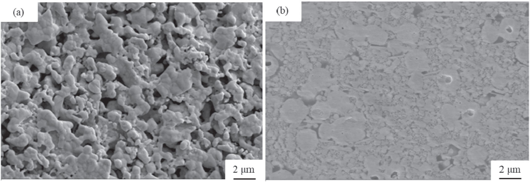 Study on layer formation behavior of Ag joints sintered with ...