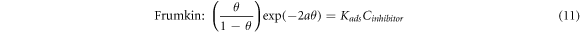 Equation (11)