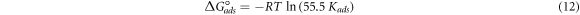 Equation (12)